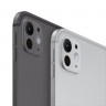 iPad Pro (2025) 11" 2Tb Wi-Fi + Cellular, без RuStore (Серебристый)