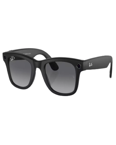 Ray-Ban Meta Wayfarer RW4008 (Матовая черная оправа линзы графитовый градиент)