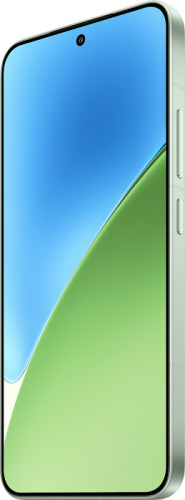 Смартфон Xiaomi 15 12/256Gb (Зеленый)