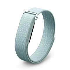 Фитнес-браслет Google Fitbit Air (Серый)