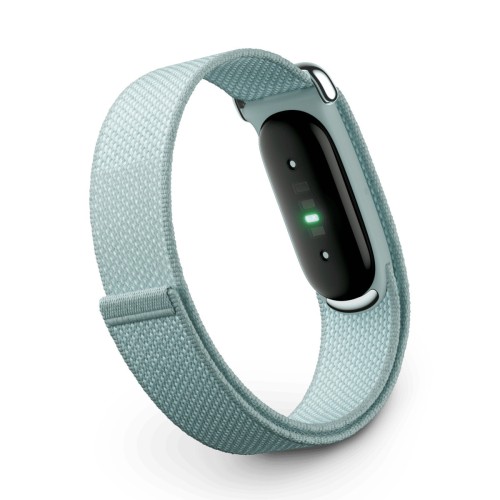 Фитнес-браслет Google Fitbit Air (Серый)