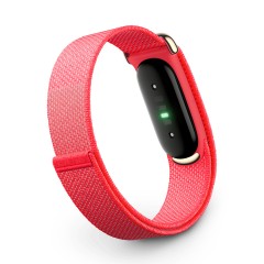 Фитнес-браслет Google Fitbit Air (Красный)