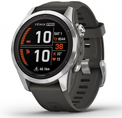 Умные часы Garmin Fenix 7S Pro Solar (Серебристый)