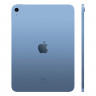 iPad (2025) 11" 256Gb Wi-Fi + Cellular, без RuStore (Синий)