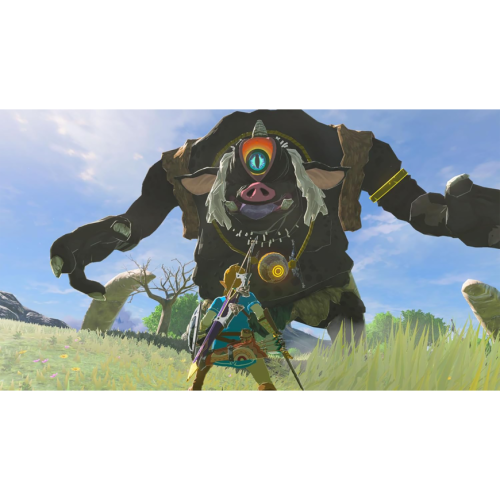 Игра The Legend of Zelda: Breath of the Wild для Nintendo Switch 2 (полностью на русском языке)