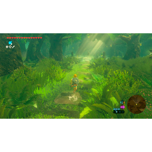 Игра The Legend of Zelda: Tears of the Kingdom для Nintendo Switch 2 (полностью на русском языке)