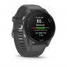 Умные часы Garmin Forerunner 255 45mm