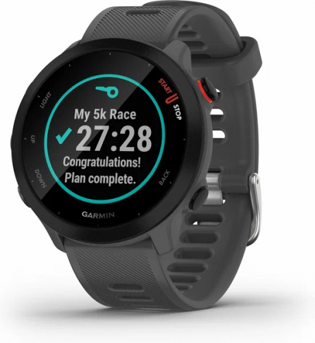 Умные часы Garmin Forerunner 55 42mm
