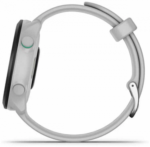 Умные часы Garmin Forerunner 55 42mm (Белый)