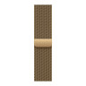 Apple Watch Series 12 46 mm, корпус из титана (Сияющее золото), миланский сетчатый браслет
