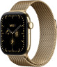 Apple Watch Series 12 42 mm, корпус из титана (Сияющее золото), миланский сетчатый браслет